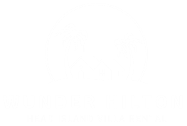 Hilton Home Services & More Logo